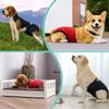 Haustier Physiologische Hose Mit Wasser Waschen Hundewindel Saugfähigkeit Verstellbar WiederverwendbarHaustier Hund Unterwäsche Shorts