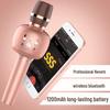Guangfengyuan Kids' All-in-One Singing Microphone & Speaker