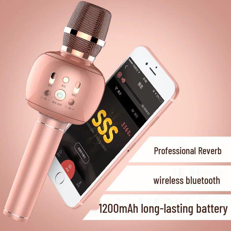 Guangfengyuan Kids' All-in-One Singing Microphone & Speaker