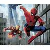 Painting by Numbers Paintings To Paint - Spider Man and Iron Man 50X40 Cm