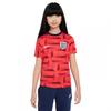 Nike Childrens/Kids Academy Pro England FA Football Shirt