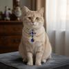 Adjustable Pet Pearl Necklace Vintage Cat Pearl Collar Fashion Dog Princess Necklace  Photography