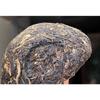 2011 Xiaguan Tuocha JIA JI Shen Puerh Old Tree Raw Pu-erh Tea 100g Puer Tea Box