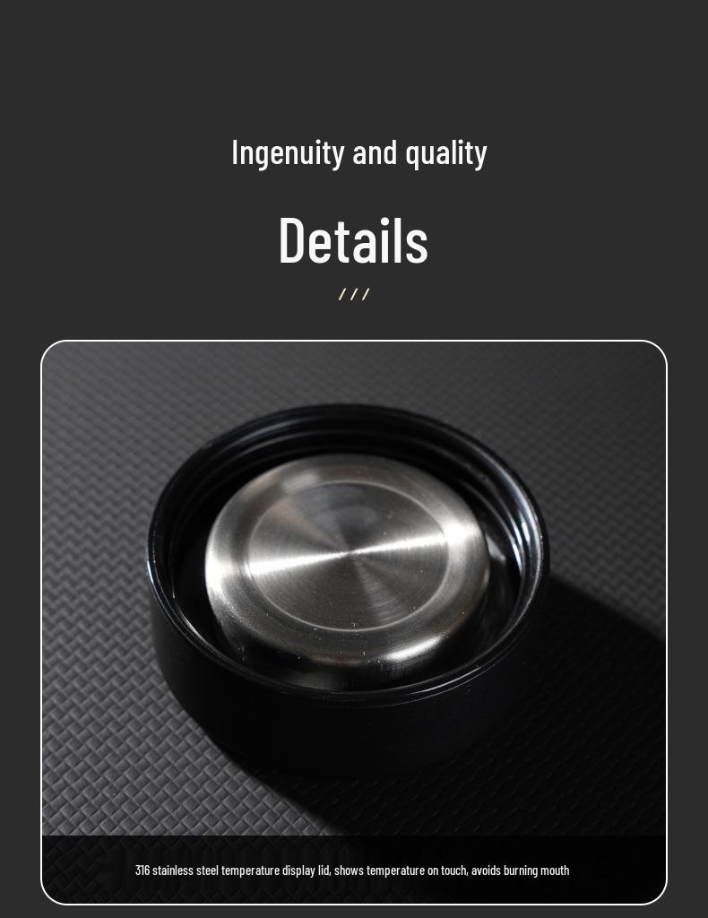 316 Stainless Steel Insulated Mug with Tea Filter, Portable for Car