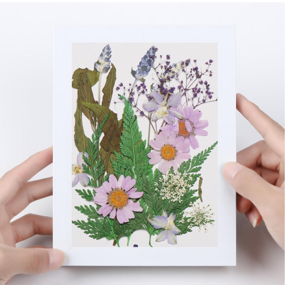 Real Natural Dried Flowers Pressed Flowers Resin Mold Fillings Flower for DIY Candle Resin Crafts Jewelry Nail Art Beauty Decal