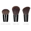 SIXPLUS Face Brush Foundation Cheek Powder Dawn Series 3-Piece Set Brush, Brush, Brush, (Black)