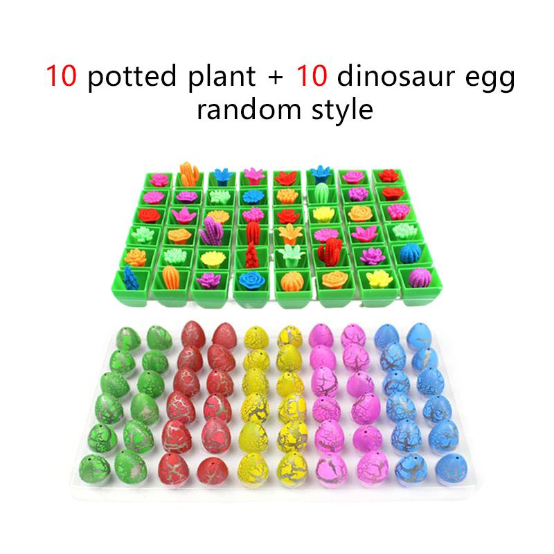 10/20 peças Ovos de Dinossauro para Chocar Mini Suculentos Fofos Lembrancinhas de Festa de Festival Presentes para Crianças EVA Absorvente de Água Presente Inovador TMZ