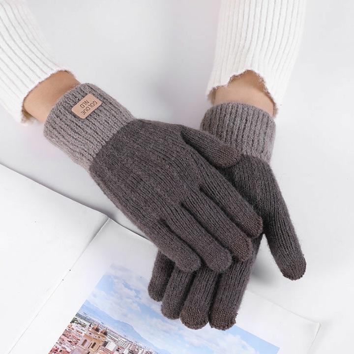 Warm Gloves for Women In Autumn and Winter Alpaca Velvet Knitted Touch Screen Outdoor Anti Freeze Plus Velvet Thickened Korean Version Cute