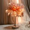 Luxurious Feather Night Light - Dimmable Desk and Decorative Lamp for Living Room or Bedroom