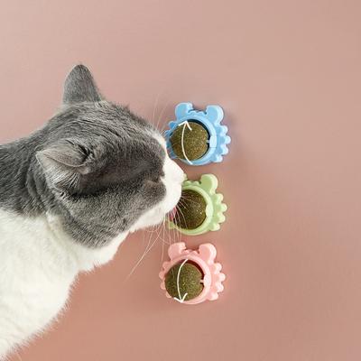 Katzen – Katzenspielzeug