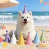 Gift for Her/Him 10 Rainbow-themed Colorful Birthday Party Hats Macaron Cone Hats for Birthdays,greeting Pairs Anniversaries