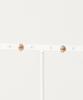 Emporio Armani Earrings EG3491221 Women's [Used]