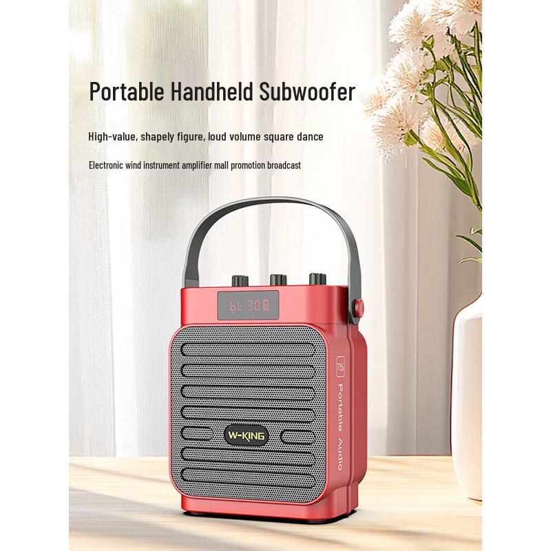 W-King T15S Portable Bluetooth Speaker