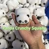 Cute Cats Crispy Dogs Squishy Hand Relax Blocks Filled Squishy Crunchy Squeeze  Children Gifts