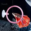 Aquarium Training Equipment 1/3Pcs Betta Fish Exercise Ring with Suction Cup, Interaction Toy Feeding Ring, Tank Enrichment Toy, Accessories Loop