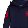 Polo Ralph Lauren Embroidered Long Sleeve Hoodie Kids Hoodies Blue 323979316-005