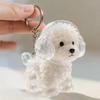 Pet Hair Souvenir Collection Keychain Key Holder Goodie Bag Stuffers Supplies for Versatile Party Gift Essentials