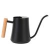 Indoor Watering Can Stainless Steel Wooden Handle Watering Pot with Long Spout for House Plants Flowers Succulents