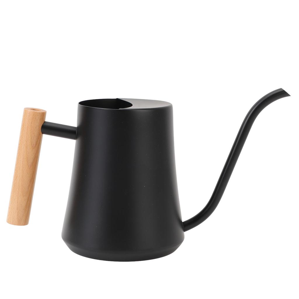 Indoor Watering Can Stainless Steel Wooden Handle Watering Pot with Long Spout for House Plants Flowers Succulents