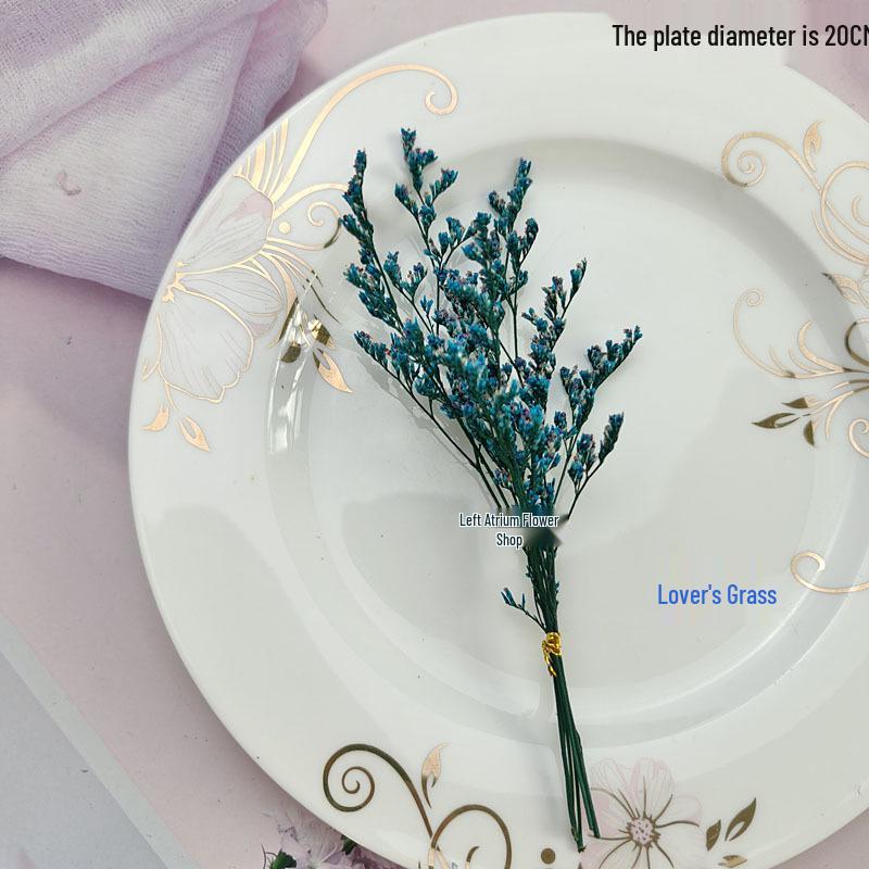 Blue Series Dried Flower DIY Kit: Hydrangea, Thousand-Layer Gold, Eucalyptus Leaf Souvenir Decoration