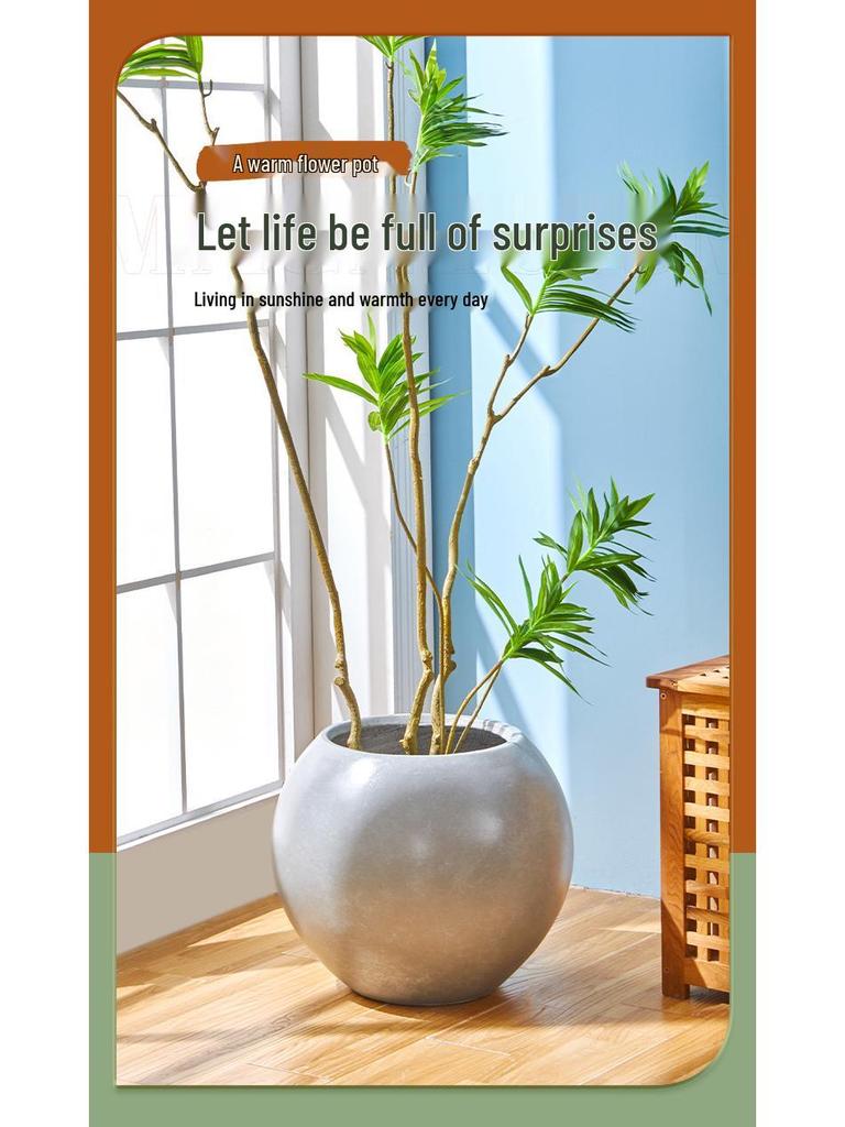 Spherical Cement Flower Pot for Ficus, Orchids, and Green Plants - Ideal for Home, Living Room, Balcony, or Outdoor Use.