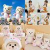 Lina Teddy Bear Plush Toy Colorful Soft Pp Cotton Stuffed Animal Gifts