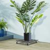 16x16 Inch Plant Stand with Wheels - Black Rolling Flower Pot Tray Holder | Modern Iron Plant Caddy | Durable Plant Tray Rack