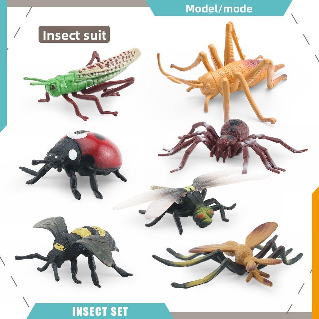 Simulated Wild Insect Butterfly Shoes Spider Dragonfly Model Ornament Set For Educational Displays And Collectors