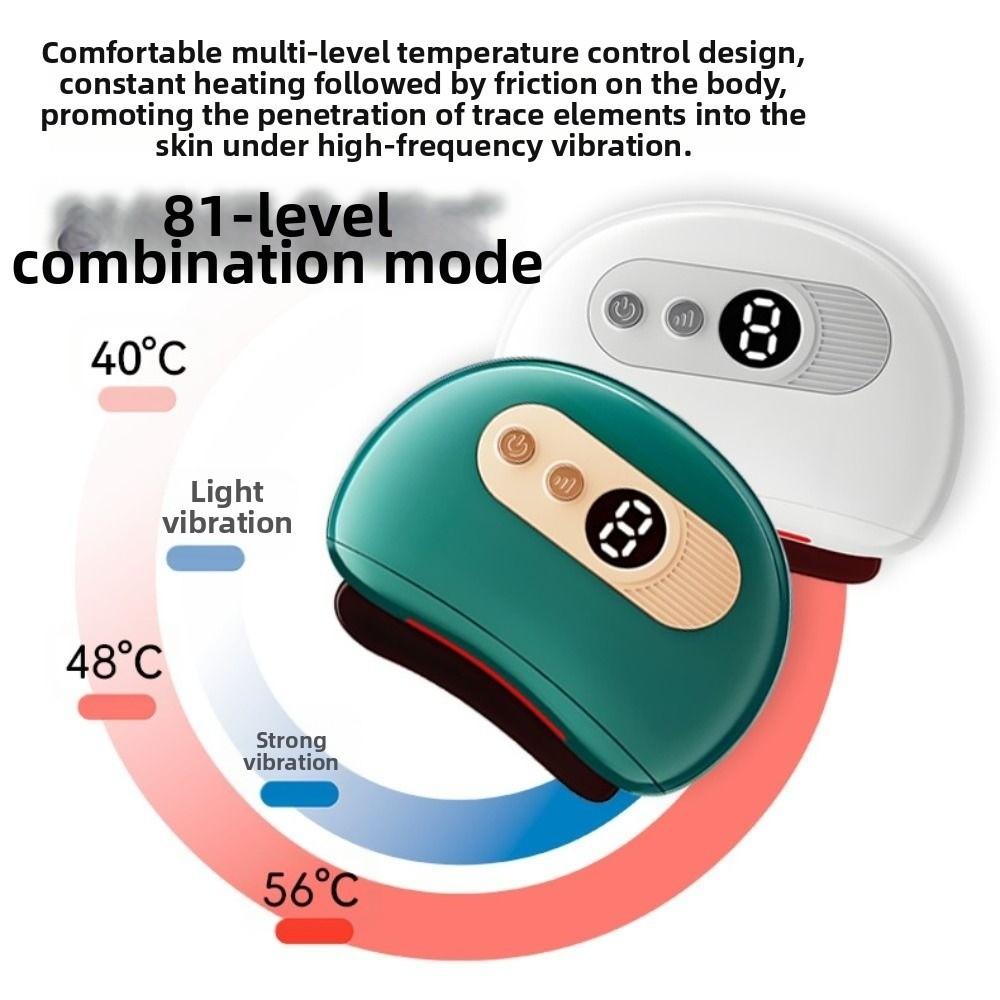 Constant Temperature Vibration Massage Scraping Instrument Face Massager Home Spa