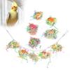 10pcs Bird Hanging Cage Toys with Chain Parrots Biting Chewing Toy Accessory Colour Mixture