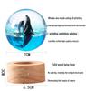 Ocean Whale Resin Crystal Ball Night Light Music Box – Ideal Birthday Gift for Kids & Friends