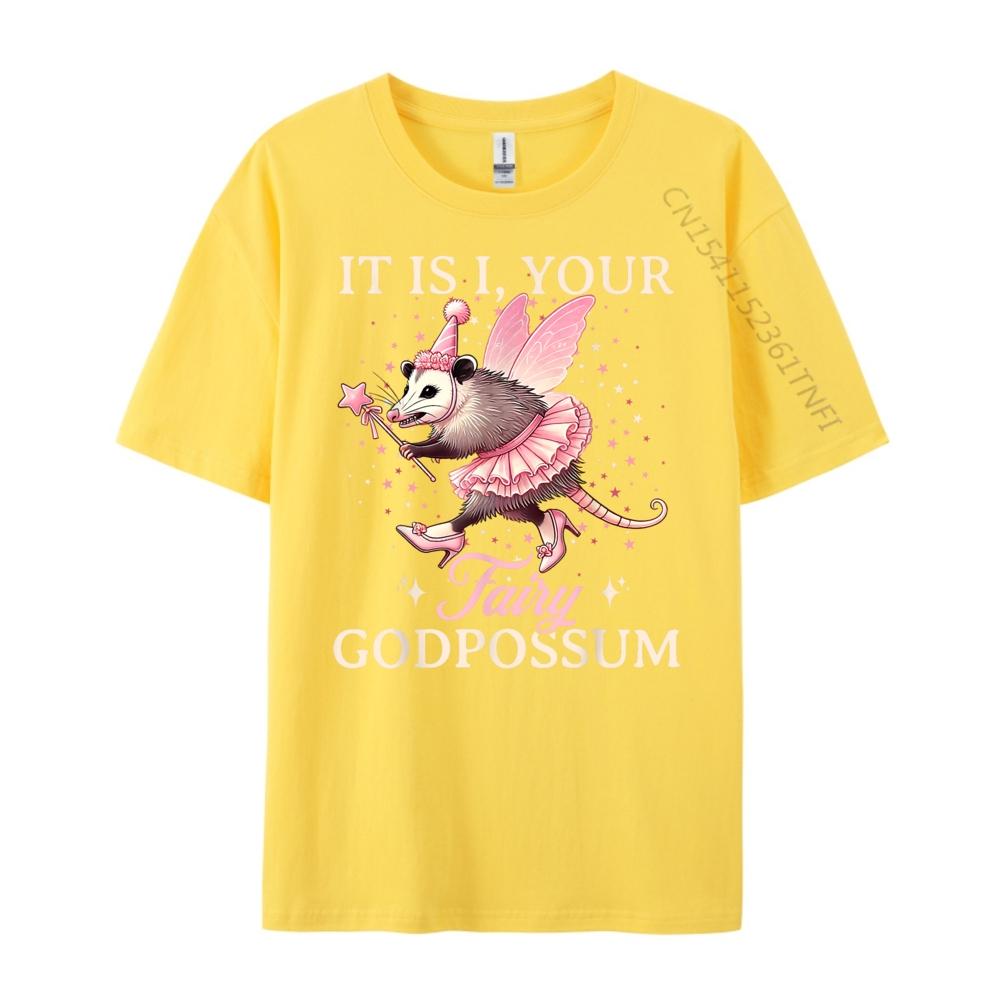It Is I Your Fairy Godpossum Funny Opossum Spirit Animal Mens Clothing 2025 Mens Shirts Cinco De Mayo