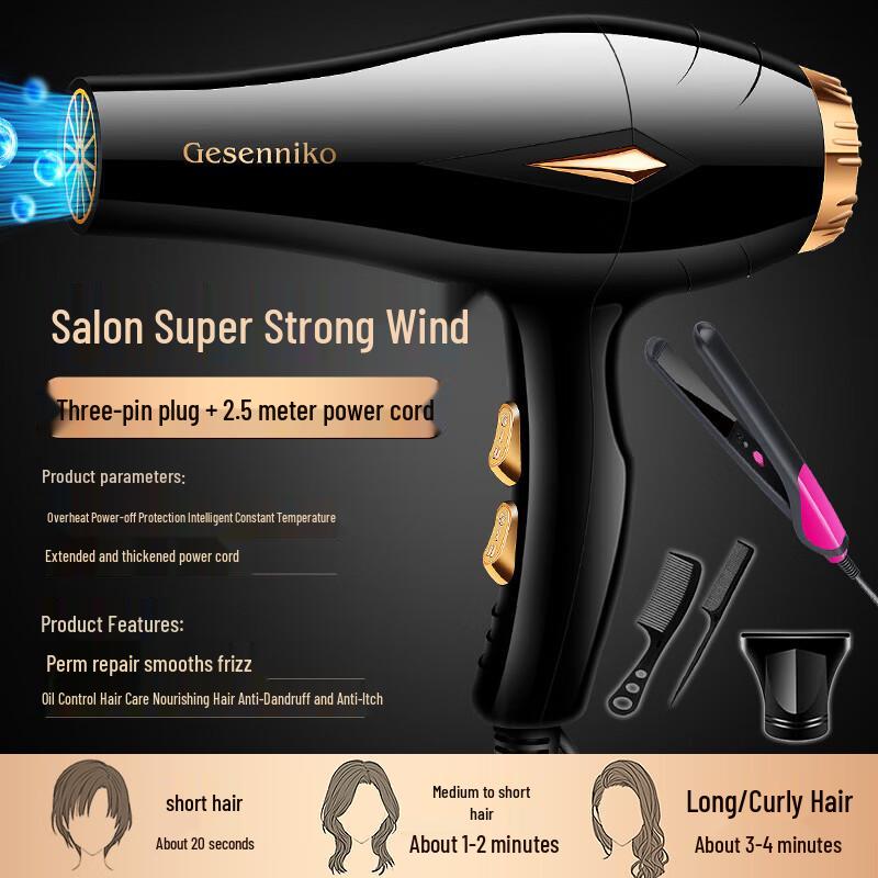

Professional Salon Hair Dryer with Hair Straightener