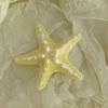5PCS Girls Hairpin with Simulated Starfish Shape Hair Clip Stable Grip Macaron Colors Hair Accessory for Beach