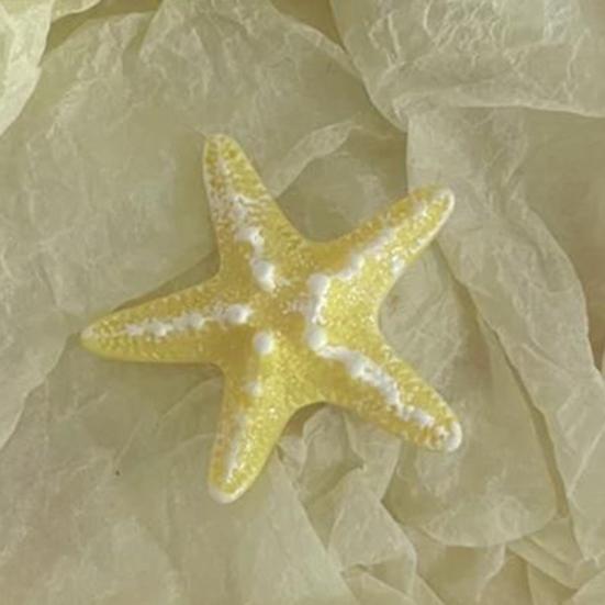 5PCS Girls Hairpin with Simulated Starfish Shape Hair Clip Stable Grip Macaron Colors Hair Accessory for Beach