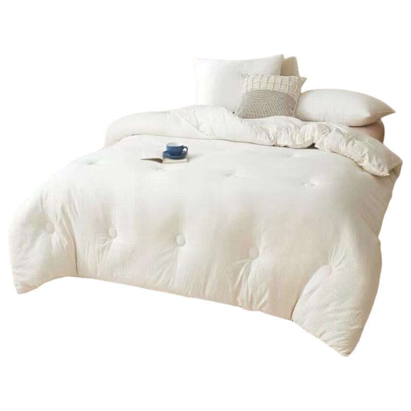Conch Warm Sun Soy Fiber Winter Quilt