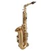   Alto Saxophone, Brass Lacquer Gold E Flat SAX 875 Key Type with SAX Accessories for All Types of Music