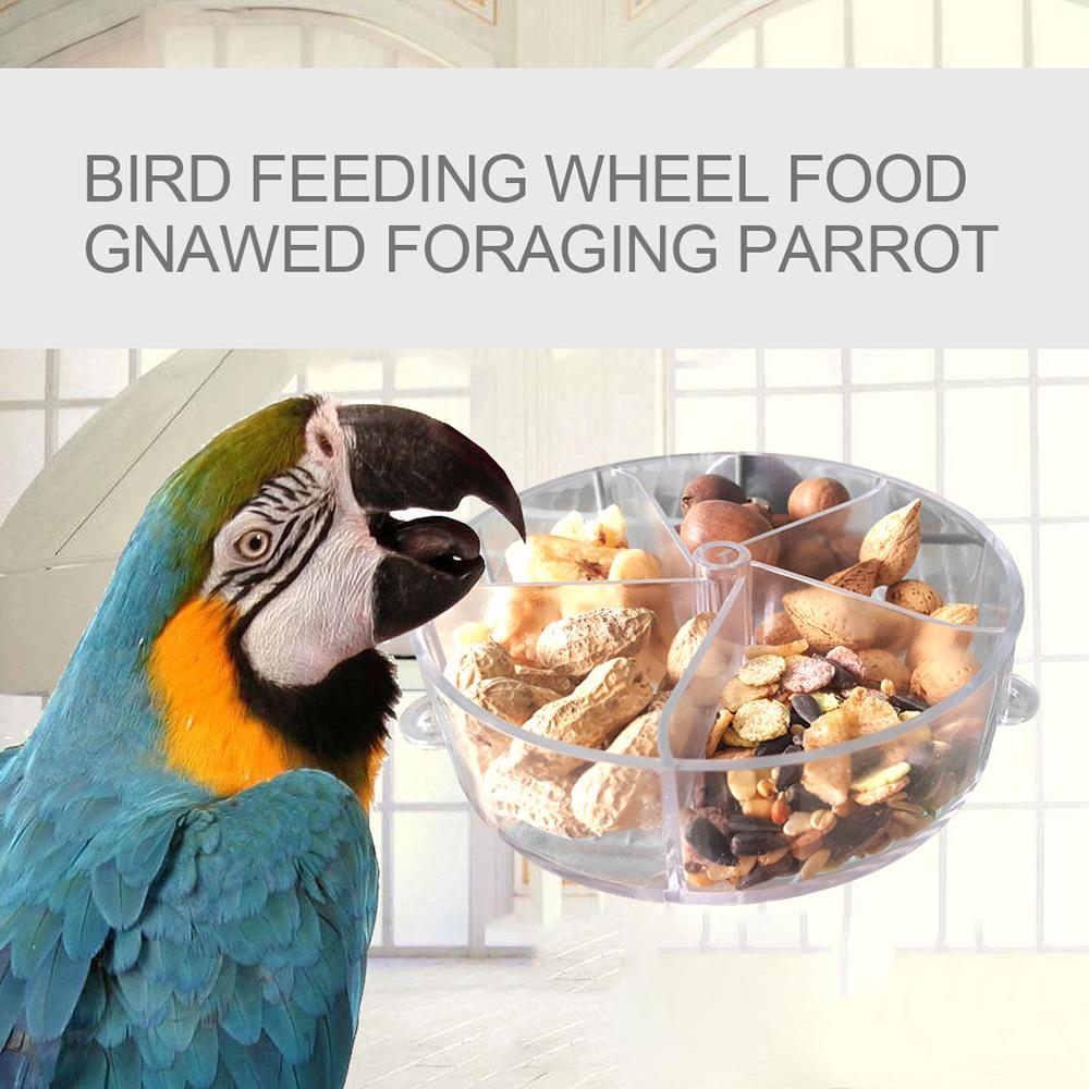 parrot foraging wheel
