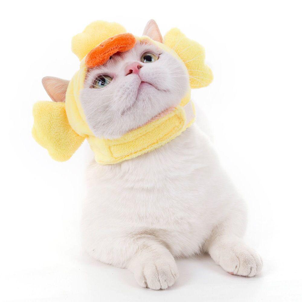 Popular pet hats, funny and quirky duck hats, dog hats, lucky cat accessories, cat accessories, teddy headwear