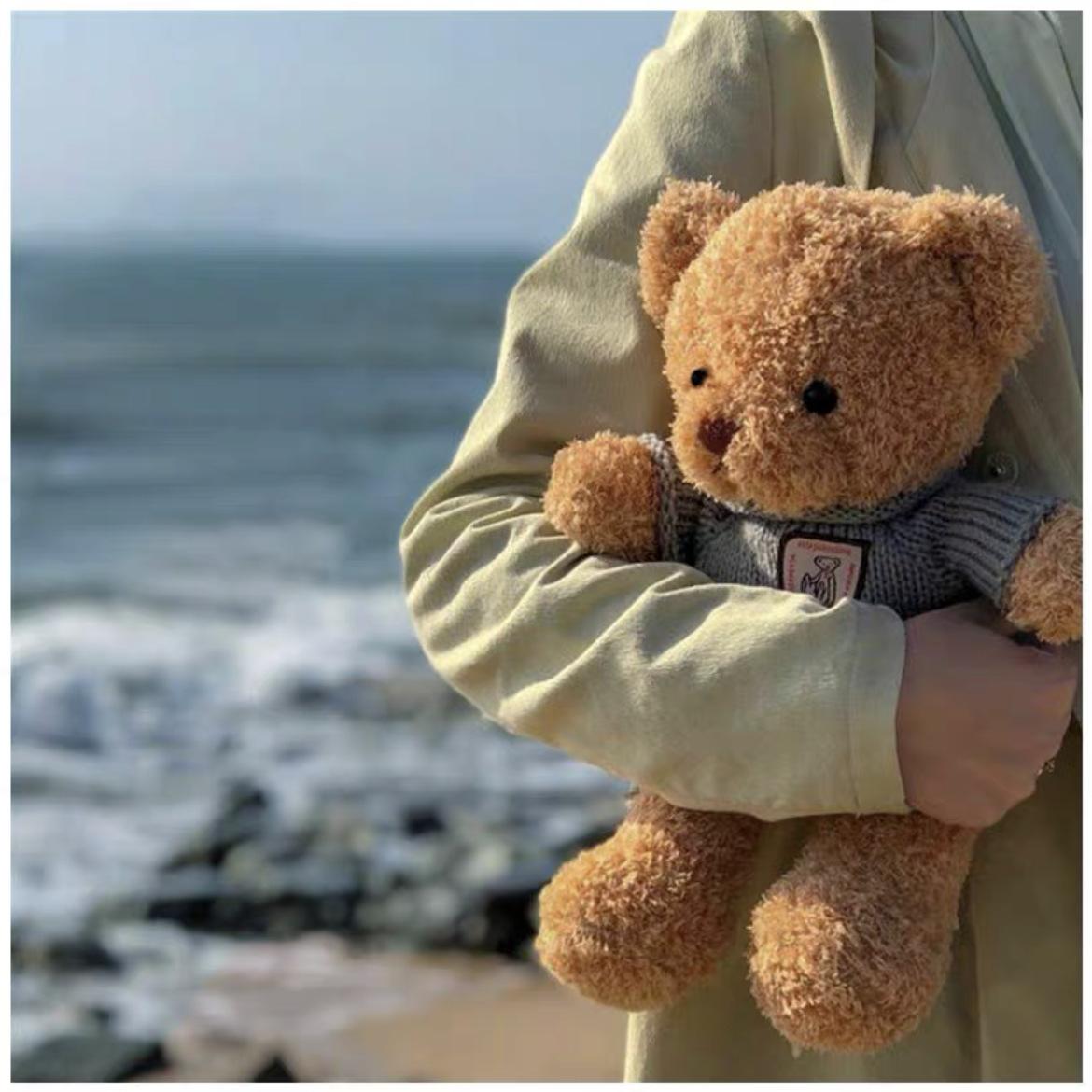 Bai Fen Bai Dolls And Toys Girls Bear Doll Sweater Bear Plush Toy Clothing Teddy Bear Ragdoll Doll Hug Bear Birthday Gift