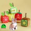 Haustierspielzeug Lautes Papierdesign Interaktives Katzenminze Eingebauter Fruchtwürfel Form Bissfestes Haustier Plüsch Kauspielzeug