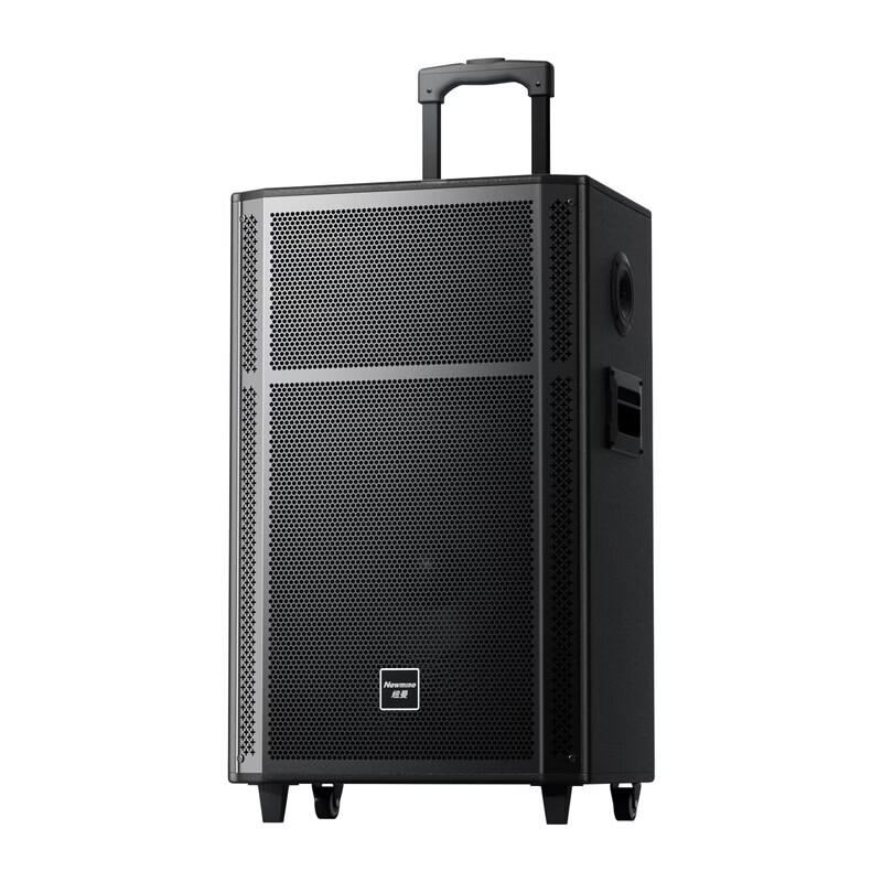 Newmine N529 15-inch Portable Trolley Bluetooth Speaker CN plug (adapter included)