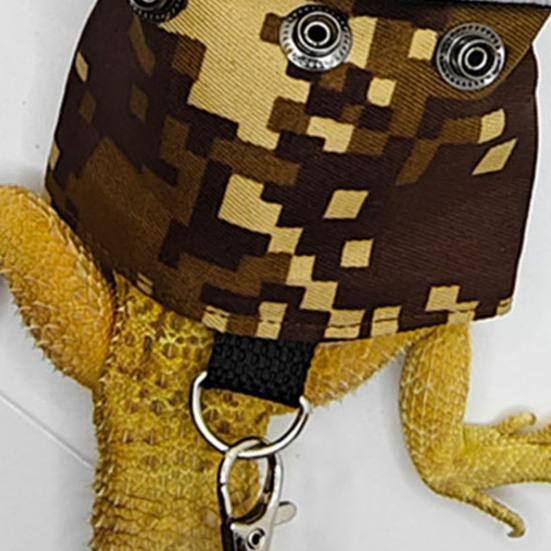 Bartagamen-Leine mit Geschirr, Reptilien-Zugseil, Outdoor-Gehtrainingsgeschirr, Leine für Reptilien, Meerschweinchen, Eidechsen