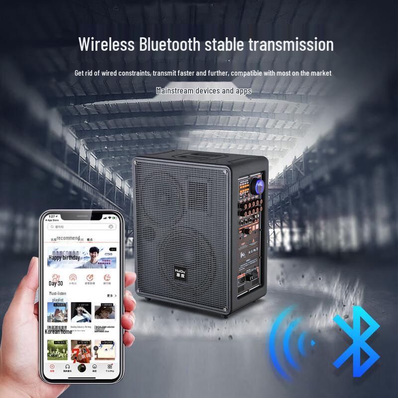 HuiDu Professional Outdoor Portable Active Trolley Speaker