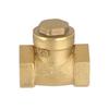 3/4" NPT Brass Water Oil Gas Swing Check Valve Threaded Plumbing Fitting