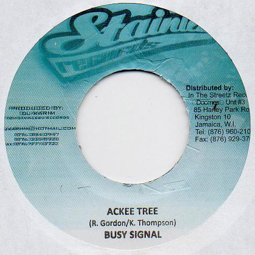 

7inch Record BUSY SIGNAL Ackee Tree NONE Stainless Recor 2009 Jamaica Reggae Ska Dub Used
