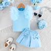 Sweet Sky Blue Girls Mesh Sleeve Top Bowknot Half Skirt Set