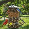 Cylindrical Hanging Bird Feeder Large Capacity Bird Feeding Tray Food Dispenser  Outdoor Use