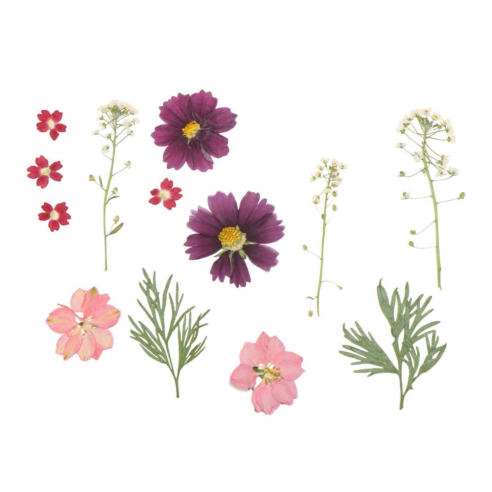 Fotorekvisita Smyckestillverkning Hartsfyllning Torkade Blommor Skönhetsdekal Hartsform Fyllning Blomma