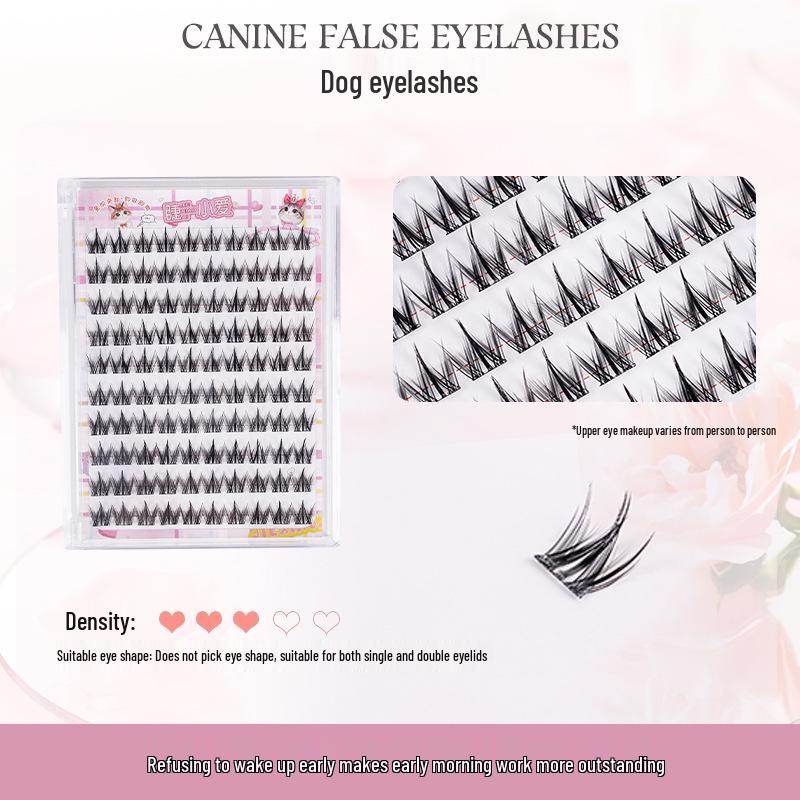 

Natural Curled False Eyelashes - Glue & Remover-Free, Single Cluster, Large Capacity, Little Puppy Dog Eyes Design.